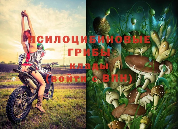 spice Алексеевка
