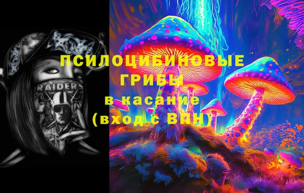 2c-b Алексин