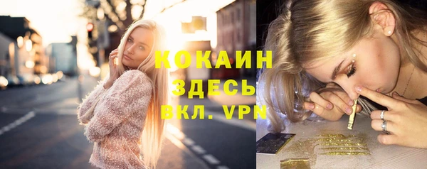 a pvp Алзамай